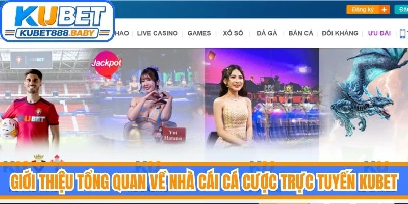 Giới thiệu tổng quan về nhà cái cá cược trực tuyến Kubet