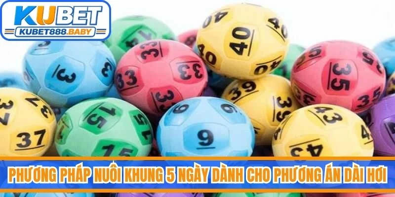 Phương pháp nuôi khung 5 ngày dành cho phương án dài hơi