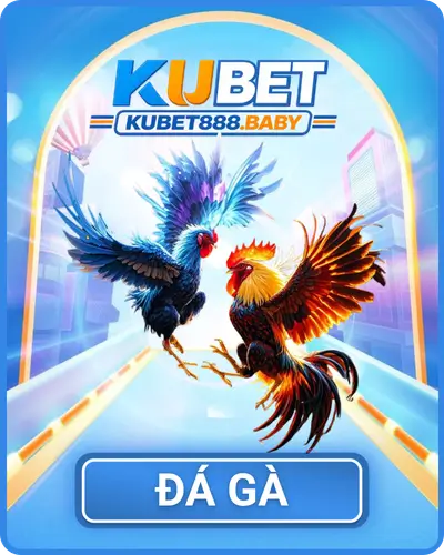 Đá Gà Kubet